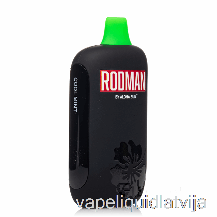 Rodman 9100 Vienreizējās Lietošanas Vēss Piparmētru Vape šķidrums